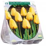 Baltus Tulipa Golden Parade tulpen bloembollen per 15 stuks